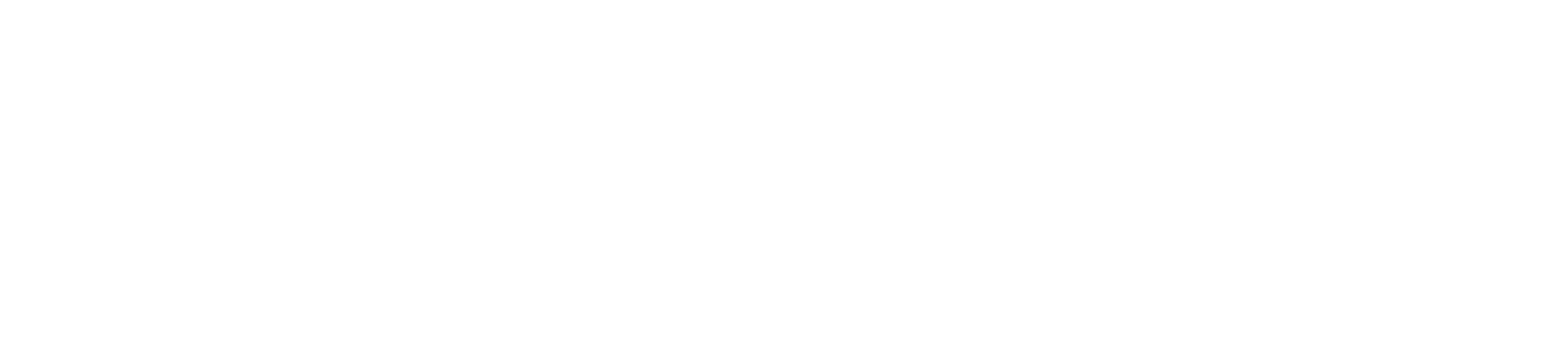 Cobra Access Control System